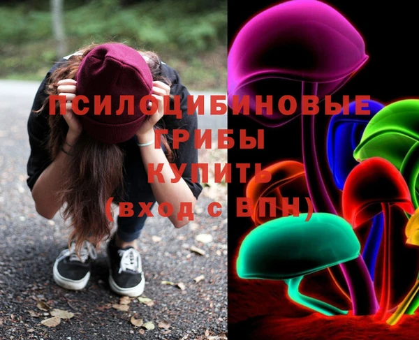 тгк Козельск