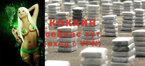 тгк Козельск