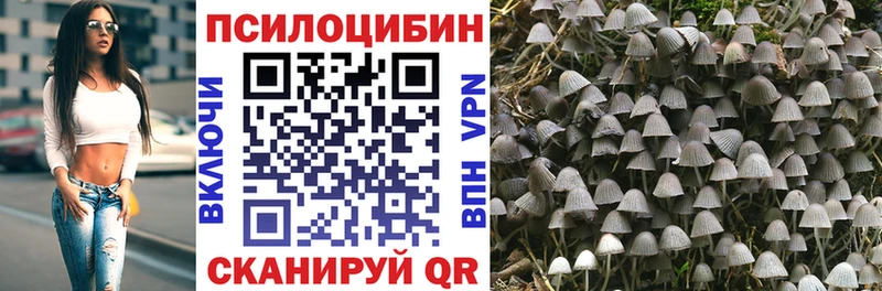 Галлюциногенные грибы Psilocybine cubensis Купить закладки Весьегонск